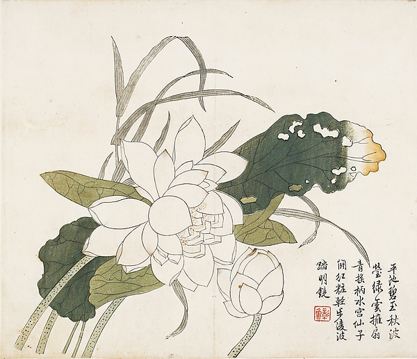 Jiezi_yuan_huazhuan_Lotus_Flowers,_Leaf_from_the_Mustard_Seed_Garden_Painting_Manual